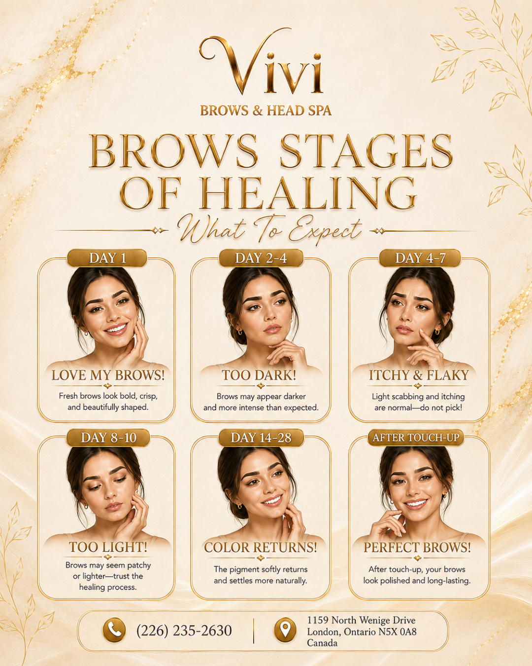 Brows stages of healing — what to expect from day 1 through after touch-up